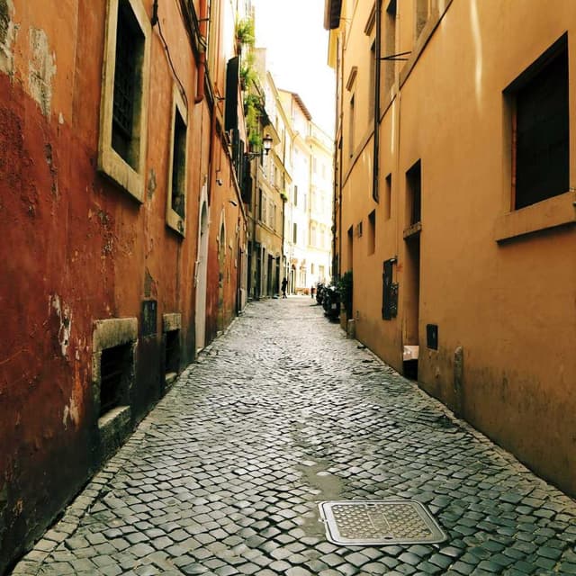 Random image from picsum