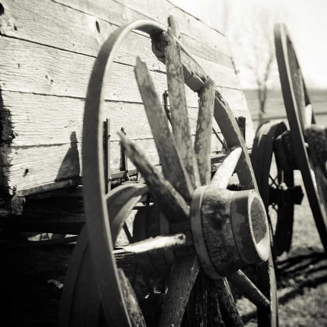 Random image from picsum